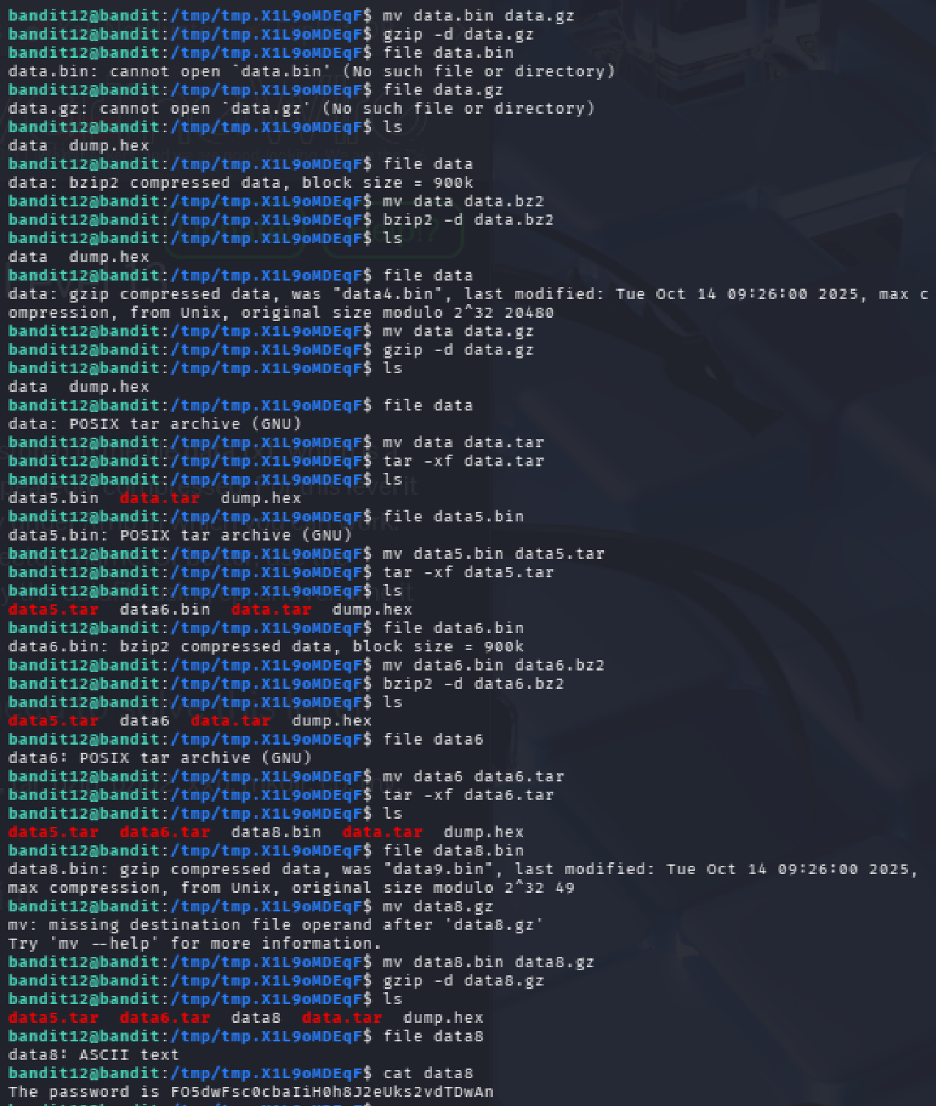 Level 12 to Level 13 Screenshot
