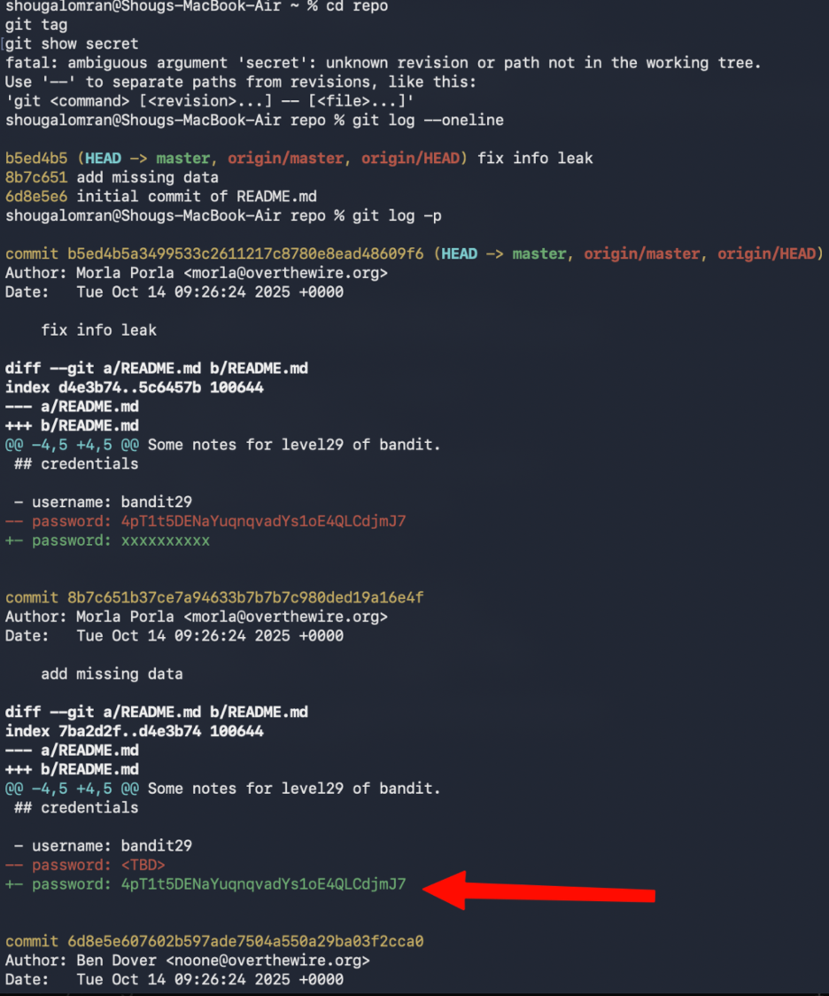 Level 28 to Level 29 Screenshot