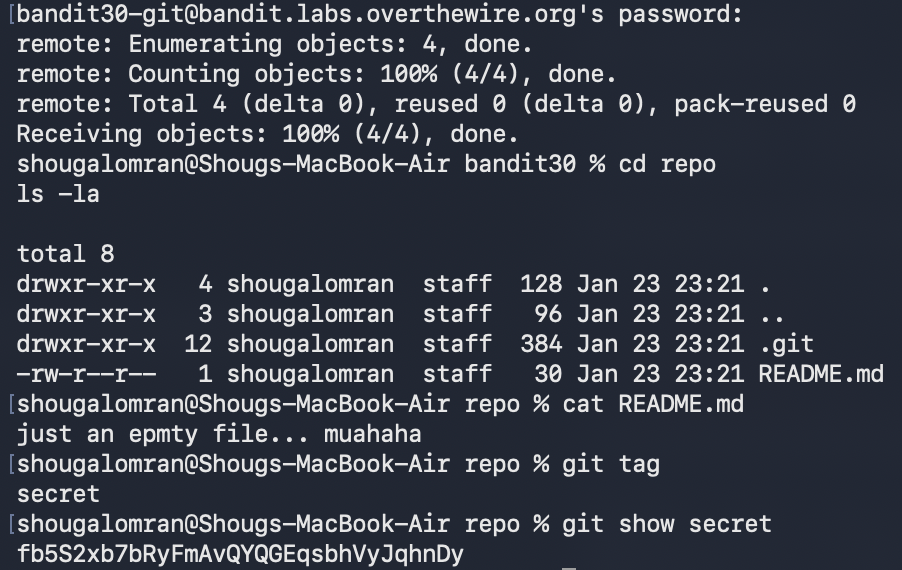 Level 30 to Level 31 Screenshot